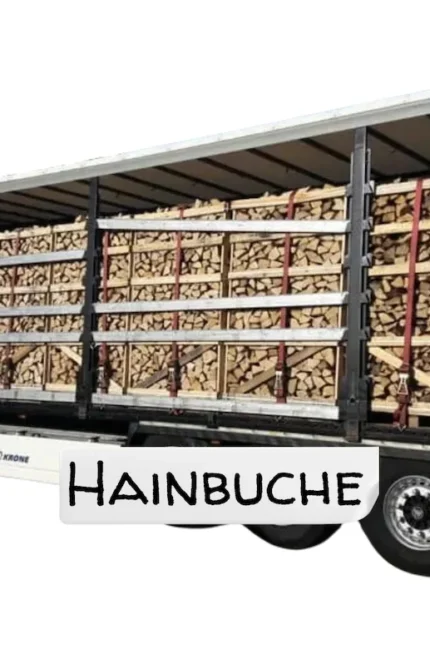 Brennholz – Buche – Komplette Ladung auf Paletten (50 m³) mit einer Scheitlänge von 28 cm und 30 cm